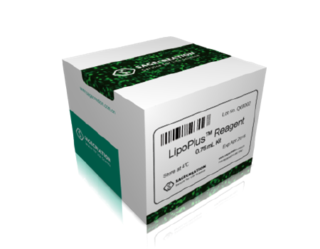 Sage LipoPlus ® DNA轉染試劑