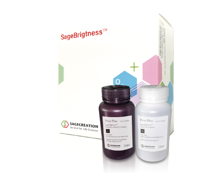 SageBrightness ® ECL化學發光底物試劑盒