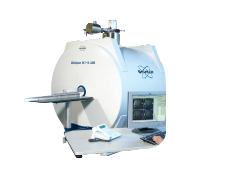 Bruker BioSpec 小動物核磁成像系統