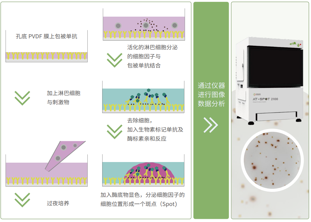 聯想截圖_20230607141153.png