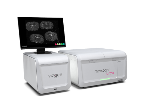 MERSCOPE 大視野超高分辨單細胞原位空間組學分析系統